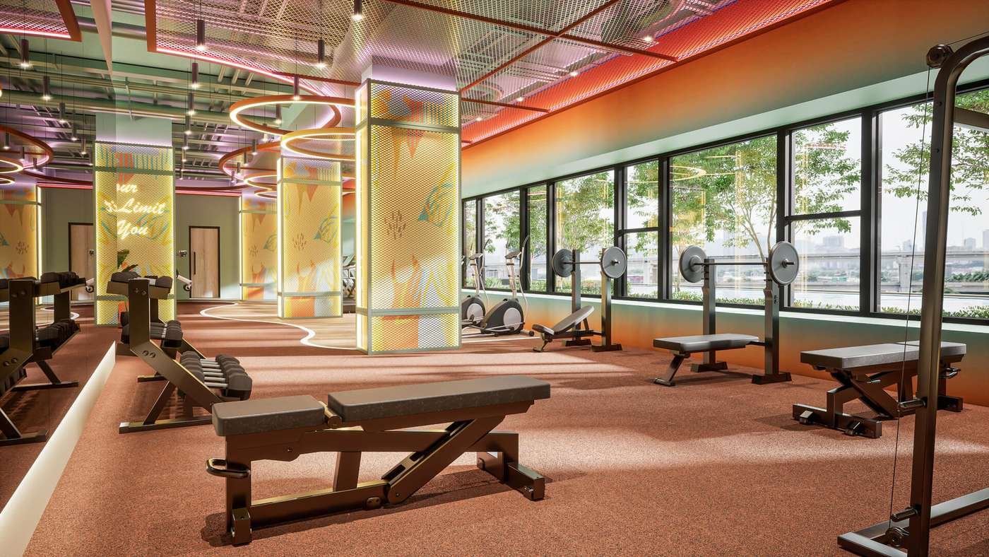 Free weights and benches
